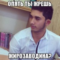 опять ты жрешь, жирозаводина?