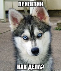 приветик как дела?