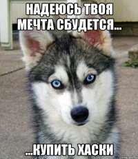 надеюсь твоя мечта сбудется... ...КУПИТЬ ХАСКИ