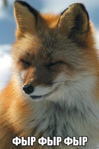  Фыр фыр фыр