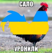 сало уронили