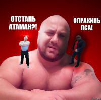 Отстань атаман?! Опракинь ПСА!