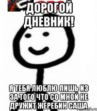 Дорогой дневник! Я тебя люблю лишь из за того что со мной не дружит жеребин саша