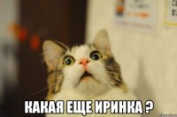  Какая еще Иринка ?