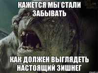 кажется мы стали забывать как должен выглядеть настоящий зишнег