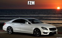 FZM 