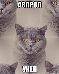 авпрол укен