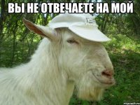 Вы не отвечаете на мой 