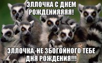 ЭЛЛОЧКА С дНЕМ РОЖДЕНИЯЯЯЯ! Эллочка, не Збогойного тебе Дня Рождения!!!