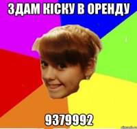 здам кіску в оренду 9379992