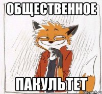 общественное Пакультет