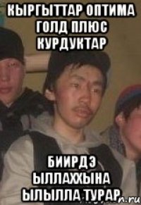 кыргыттар оптима голд плюс курдуктар биирдэ ыллаххына ылылла турар
