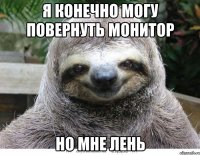 Я конечно могу повернуть монитор но мне лень