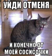 УЙДИ ОТМЕНЯ И КОНЕЧНО ОТ МОЕЙ СОСИСОЧКИ