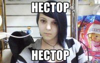 нестор нестор