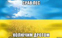 срав пес колючим дротом
