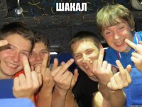 Шакал 
