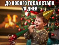 до нового года остало 70 дней 