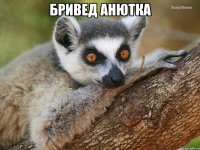 Бривед Анютка 
