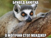 Бривед Анютка О могучий стог менджер
