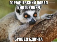 Горбачевский Павел Викторович Бривед бдичга