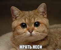  жрать неси