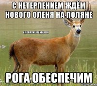 С нетерпением ждём нового ОЛЕНЯ на поляне Рога обеспечим
