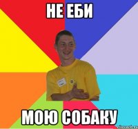 НЕ ЕБИ МОЮ СОБАКУ