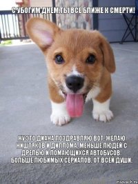 С убогим днем,ты все ближе к смерти! Ну это Диана поздравляю вот. Желаю ништяков и диплома. Меньше людей с дрелью и ломающихся автобусов. Больше любимых сериалов. от всей души.