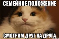 семейное положение смотрим друг на друга