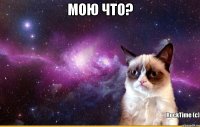 Мою что? 