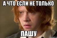 а что если не только пашу