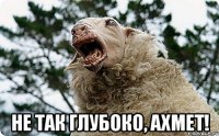  Не так глубоко, Ахмет!