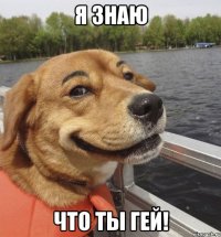 Я ЗНАЮ ЧТО ТЫ ГЕЙ!