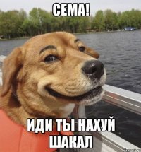 СЕМА! ИДИ ТЫ НАХУЙ ШАКАЛ