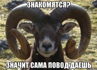 Знакомятся? Значит сама повод даешь