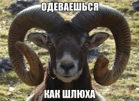 Одеваешься как шлюха