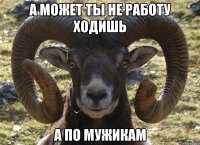 А может ты не работу ходишь А по мужикам