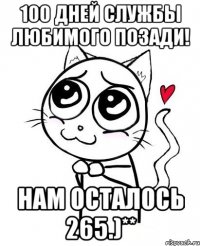 100 дней службы любимого позади! Нам осталось 265.)**
