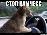 СТОП КАМЧЕСС 