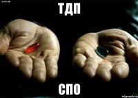ТДП СПО