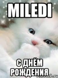 Miledi с днём рождения