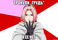 Тронули ,,грудь" а ее нет