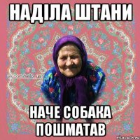 НАДІЛА ШТАНИ НАЧЕ СОБАКА ПОШМАТАВ
