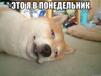 Это я в понедельник 