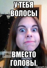 У тебя волосы Вместо головы.