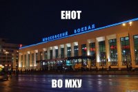 енот во мху