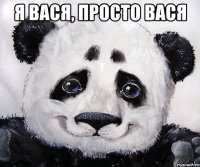Я Вася, просто Вася 