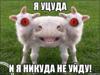 я уцуда и я никуда не уйду!