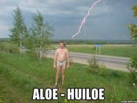  Aloe - huiloe